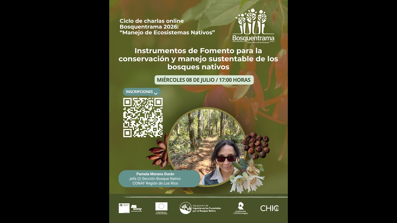 Formación Viverización y Regeneración: Instrumentos de Fomento, conservación y manejo Pamela Moreno