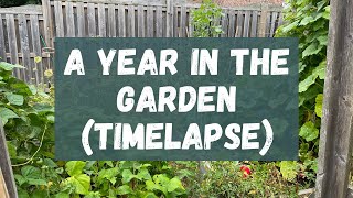 A year on the micro homestead | Garden Timelapse