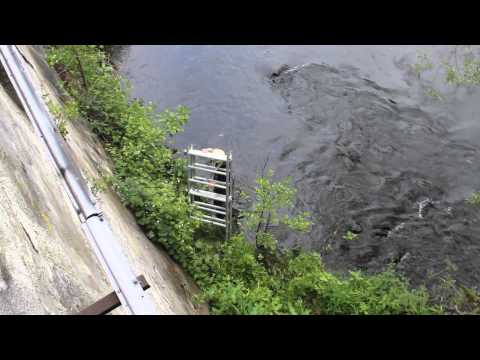 Altena: Leiche am Lenneufer