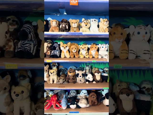 Vídeo relacionado con Wild Republic Pocketkins-Eco Beaver, Peluche, 13 cm, Juguete de Felpa, ecológico
