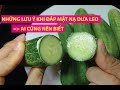 Những Lưu ý Cần Thiết Khi Làm đẹp Với Mặt Nạ Dưa Leo Tránh Tổn Thương Dị �