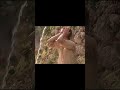 Virgin Territory