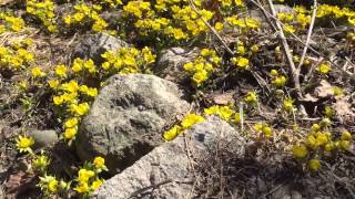 01a7b3c763b71a396747bd783c73cee60b8ead2318