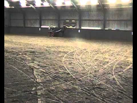 Annemarie 22022014 B Zwartewaal  1