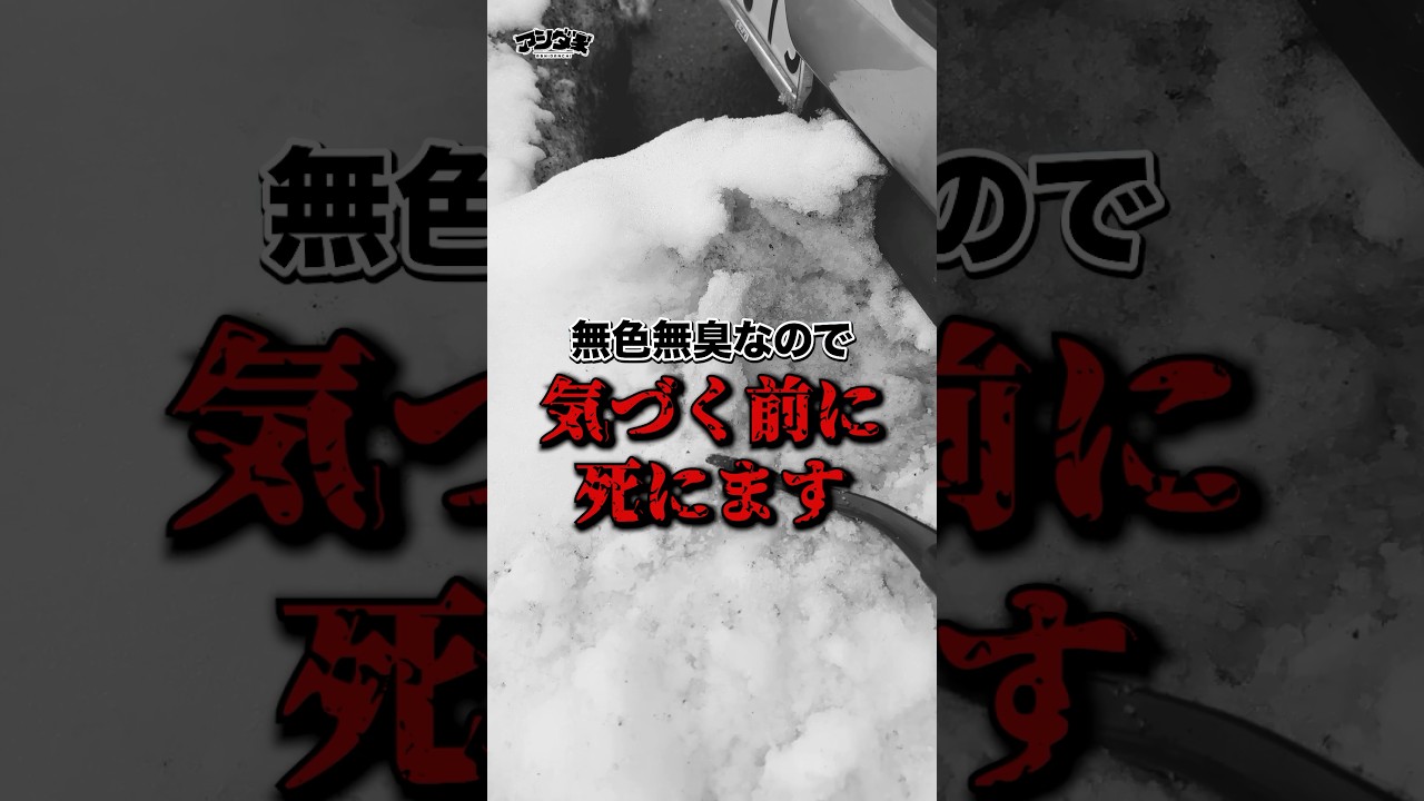 知らないと死ぬ。冬の車中泊で本当にヤバい事…