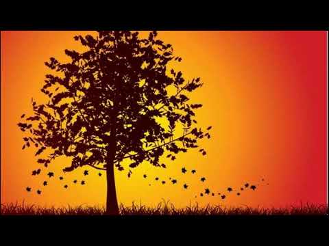 FINALES DE OCTUBRE - NADIE x SADY MASAKRE [Prod.IsoFuneral]