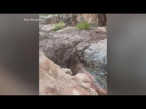 download lagu mp3 mp4 Fresh Top 40 10 Iul 17 Iul Akw, download mp3 Fresh Top 40 10 Iul 17 Iul Akw free download, download mp3 Fresh Top 40 10 Iul 17 Iul Akw