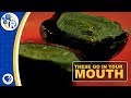 What Are Century Eggs?