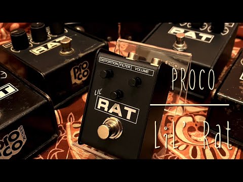Lil' RAT by ProCo | RockBoard | PedalPedia