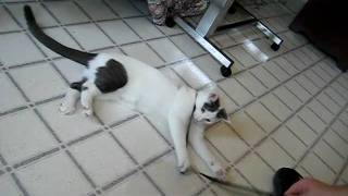 Bones Visit G. Grandma 03