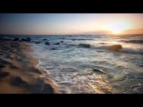 Madonna - Swim (Subtitulada en Español)