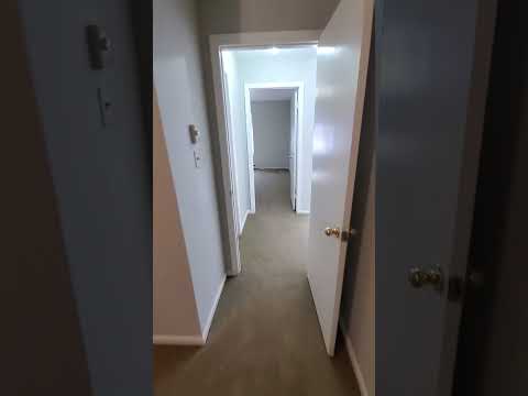 4271 Mineral (Drawer 1 - 606) - Video 2 of 2