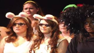 Sterling Civic Theatre- Shrek 2014