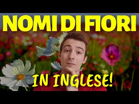 NOMI di FIORI in Inglese #flowers #english #jameswhite