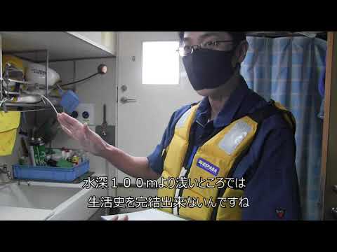 Crepidula fornicataについて詳しく解説