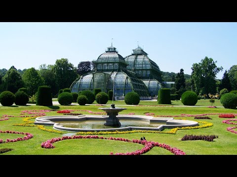 0098 Wien, Wien, nur du allein