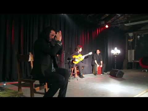 JULIO RUIZ - BIONIC FLAMENCO
