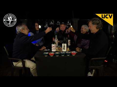 Los Vinos Cardinales capítulo 16