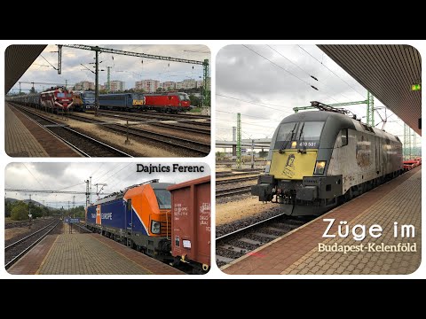 Züge im Budapest-Kelenföld