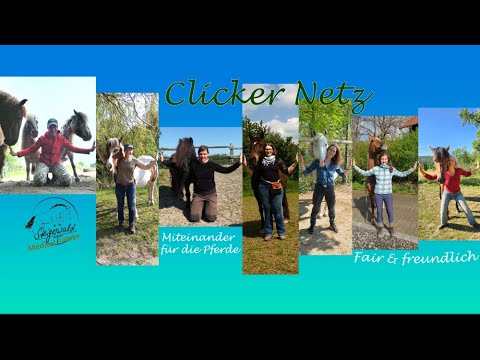 Einführung ins Clicker- Netz