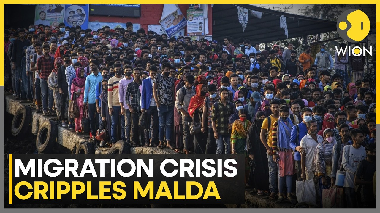 Ground Report From West Bengal's Mango Hub | WION