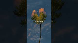 Agar Tum Sath Ho 💔✨ || Teri Nazron Mein Hai Tere Sapne || #agartumsathho #lyrics #shorts #viral