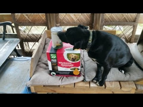 PREPPING FOR PETS: DEHYDRATED DOG FOOD