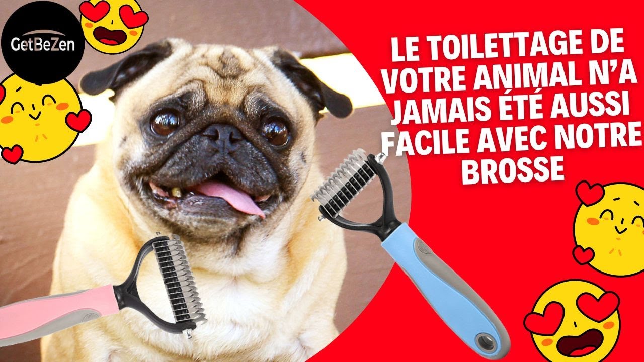 Brosse pour chien 🥰 meilleur brosse de toilettage.