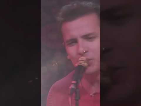 👀 Самбурская а горький яд твоей любви :) #shorts