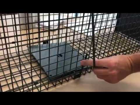 How to setup your Pestrol large live animal trap.