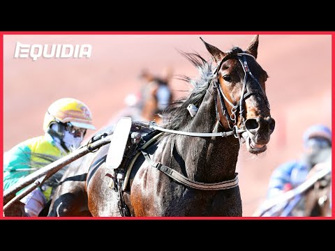 GRAND PRIX DU DÉPARTEMENT DES ALPES-MARITIME I Vivid Wise As I  Cagnes-sur-Mer I Groupe 2