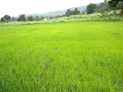 download lagu mp3 mp4 Unnai Naan Parkayil, download lagu Unnai Naan Parkayil gratis, unduh video klip Unnai Naan Parkayil