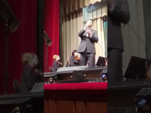 Эстрадный оркестр новосибирской филармонии, солист - Александр Видеман.