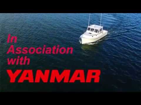 YANMAR 6LY440 AJ28
