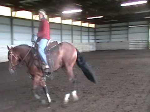 2YR OLD NIC IT IN THE BUD REINING PROSPECT