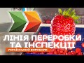 Барботажная мойка для мытья и сушки ягод, фруктов, салатов, чеснока и грибов - фото 1