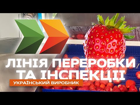 Барботажная мойка для мытья и сушки ягод, фруктов, салатов, чеснока и грибов