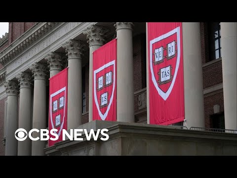Harvard argues in court that Trump administration's funding freeze violated First Amendment