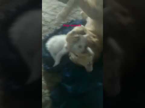 mega sreenath    subscribe