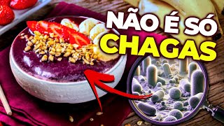 Os Perigos do AÇAÍ que NUNCA TE CONTARAM