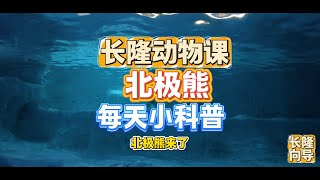 北极熊来啦，他现在正在吃鱼