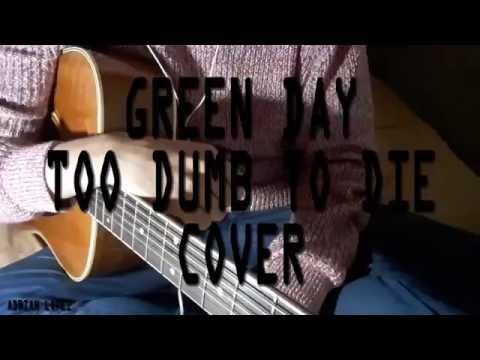 Green Day - Too dumb to die - Acoustic cover