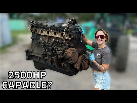 STRIPPING DOWN a 35 Year Old Ford Diesel Engine for HIGH PERFORMANCE Build