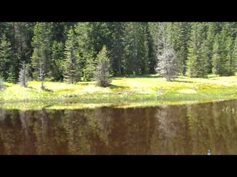 Tiho jezero (Falski ribnik)