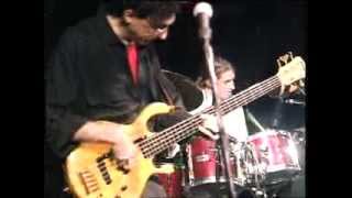 Ant Steps on an Elephant's Toe