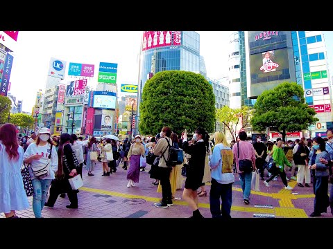 Shibuya in Tokio. Der heiße Tag ist zurück ♪ 💖 4K ASMR nonstop 1 Stunde 06 Minuten