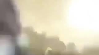 Cover art for Look at this monkey.