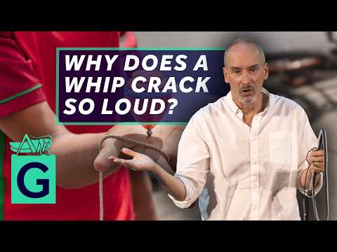 Cracking the Whip: Strings, Chains and Dinosaurs