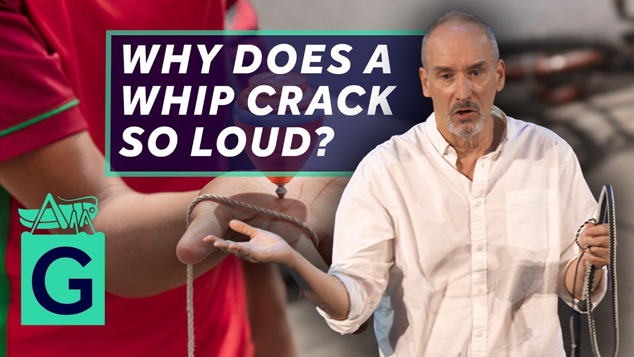 Cracking the Whip: Strings, Chains and Dinosaurs