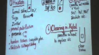 12) Dr.Gihan [Intro - Microtechnique] 14/12/2013